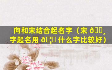 向和宋结合起名字（宋 🕸 字起名用 🦄 什么字比较好）